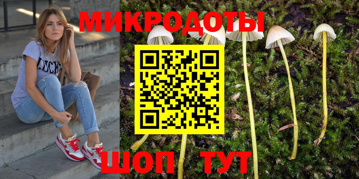 Галлюциногенные грибы Psilocybine cubensis  Вход с VPN  Луховицы 