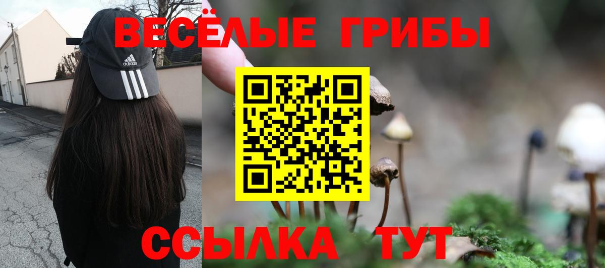 Псилоцибиновые грибы Psilocybine cubensis Луховицы